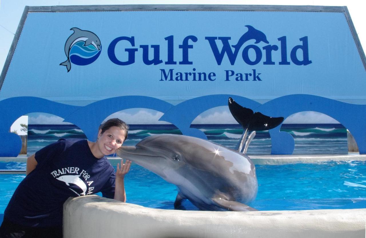Splash 207E Panama City Beach Ngoại thất bức ảnh